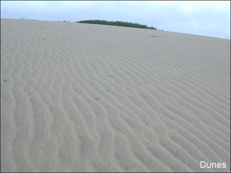 Dunes